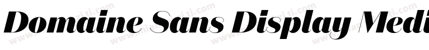 Domaine Sans Display Medium字体转换